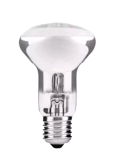 Terrárium melegítő izzó